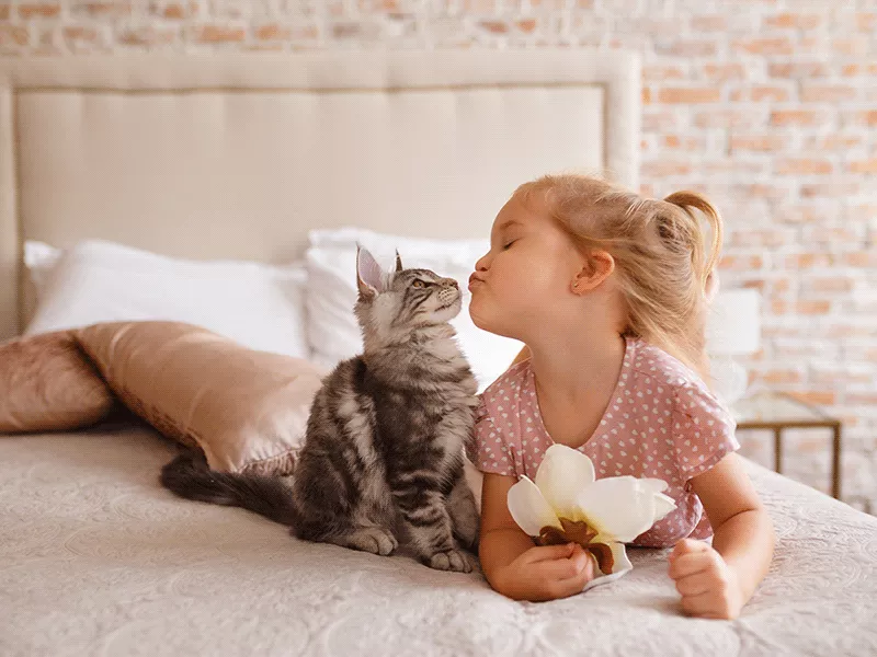 adivinhas de animais