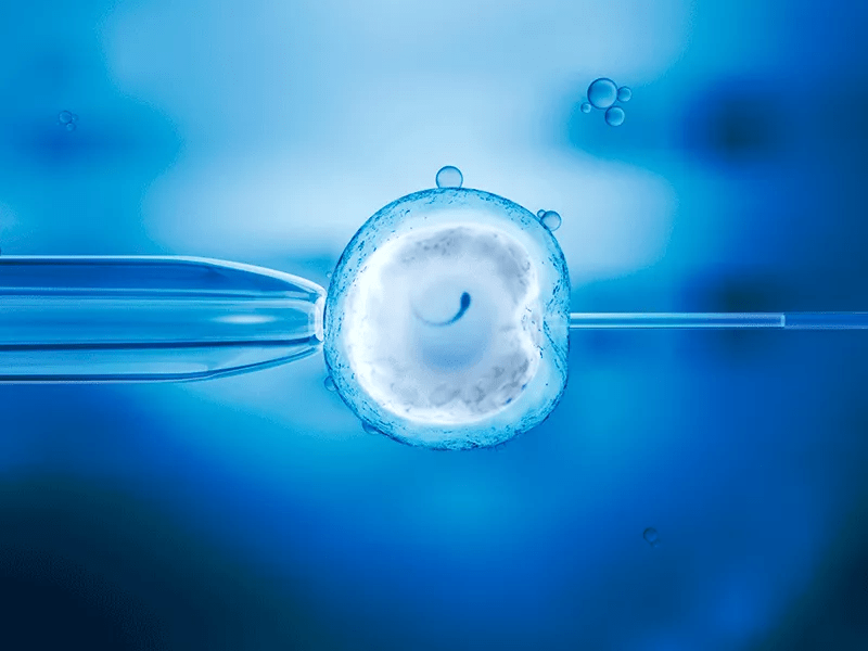 Fecundação In Vitro (FIV)