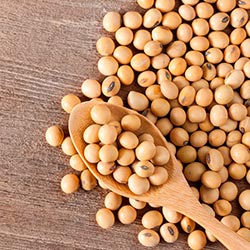 Omega3 soja