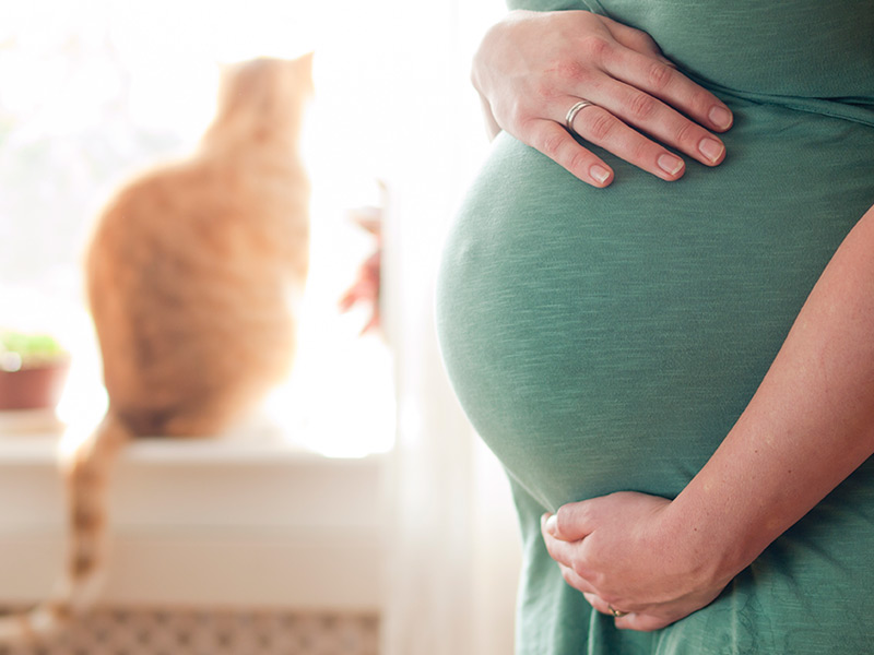 Toxoplasmose na gravidez