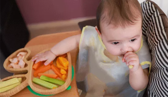 baby led weaning bebe comer