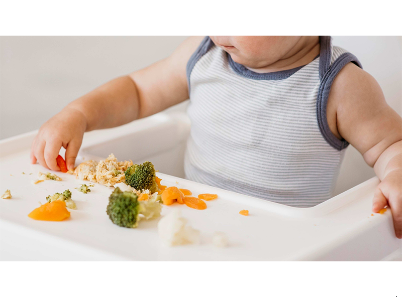 introduzir alimentos ao bebe