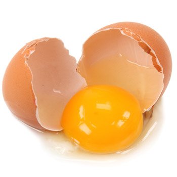 Tortilhas originais para crianças