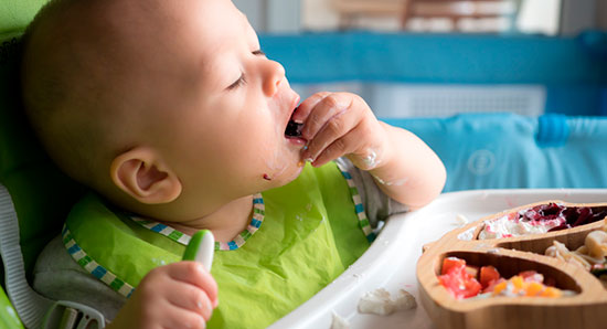 aliemntacion 11 meses