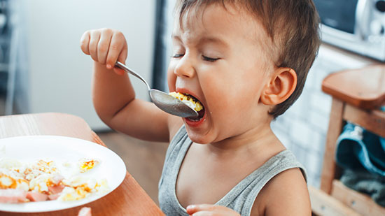 alimentacion 15 meses