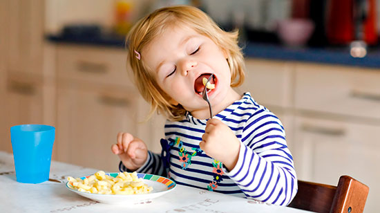 alimentacion 18 meses