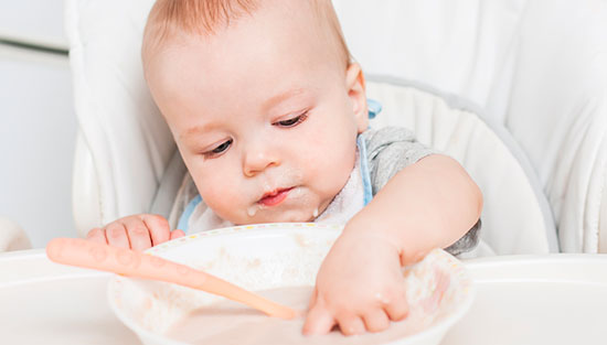 alimentacion 8 meses