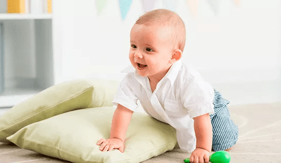 bebe gatinha camisa