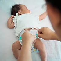 Coco Verde Dos Bebes O Meu Bebe