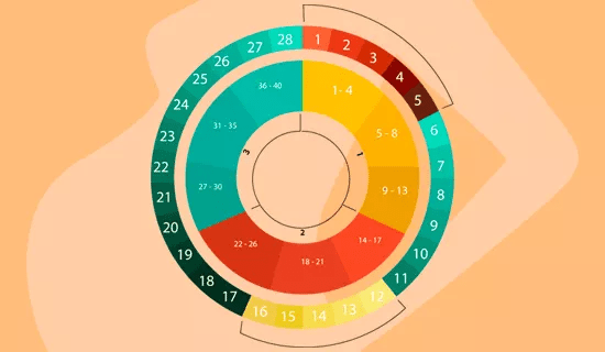 calculadora gestograma infografia