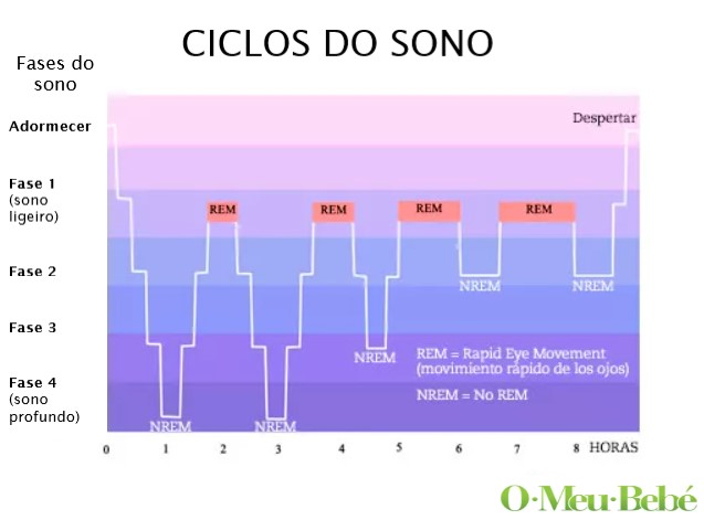 ciclos do sono