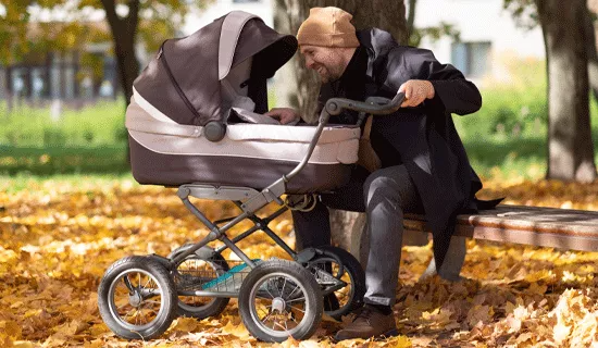 carrinho bebe papa