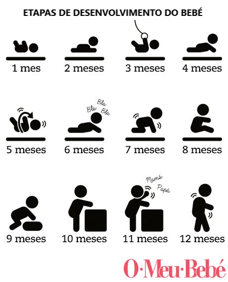 etapas desenvolvimento infografia