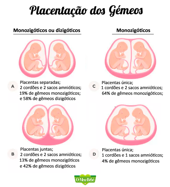 gemeos min