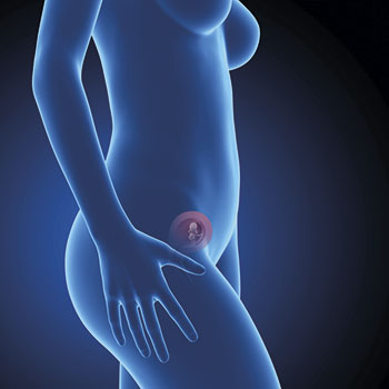 12 semanas infografia