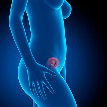 13 semanas infografia