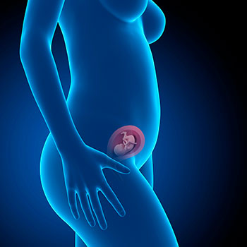 18 semanas infografia