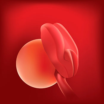 2 semanas infografia