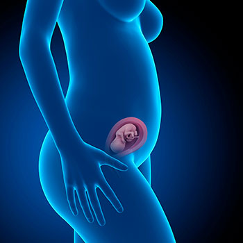 21 semanas infografia