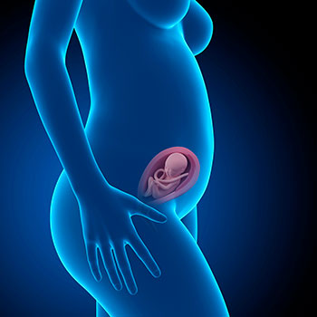 23 semanas infografia