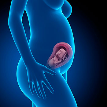 27 semanas infografia