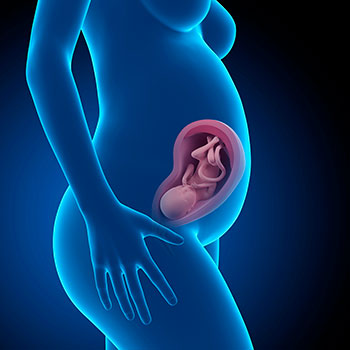 30 semanas infografia