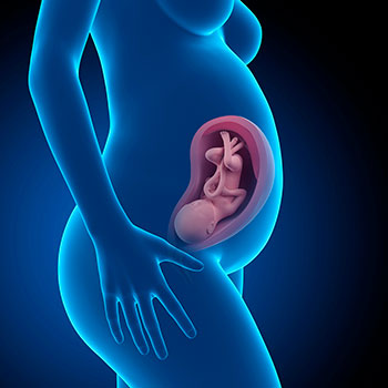 32 semanas infografia