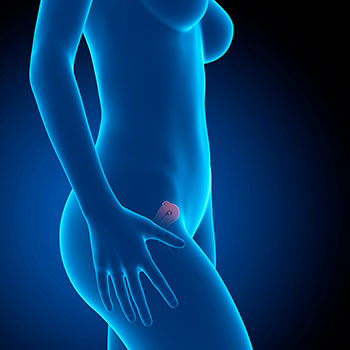 8 semanas infografia