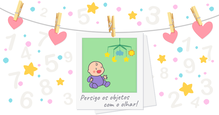 2,5 meses