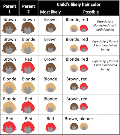 infografia cor cabelo genetics.thetech.org