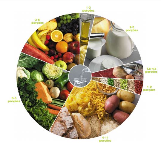 roda dos alimentos min 1