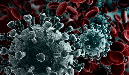 virus covid 19