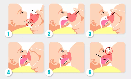 pacos amamentacao infografia