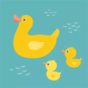 patinho agua