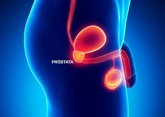 ponto h homem infografia