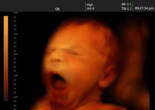 quinto_mes.png