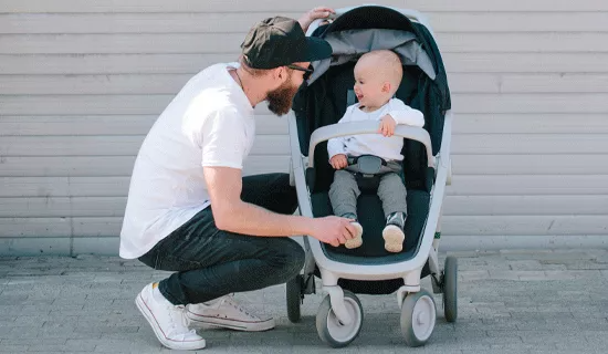 carrinho passeio papa bebe