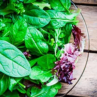 verduras folha verde