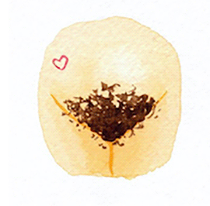 vulva 10