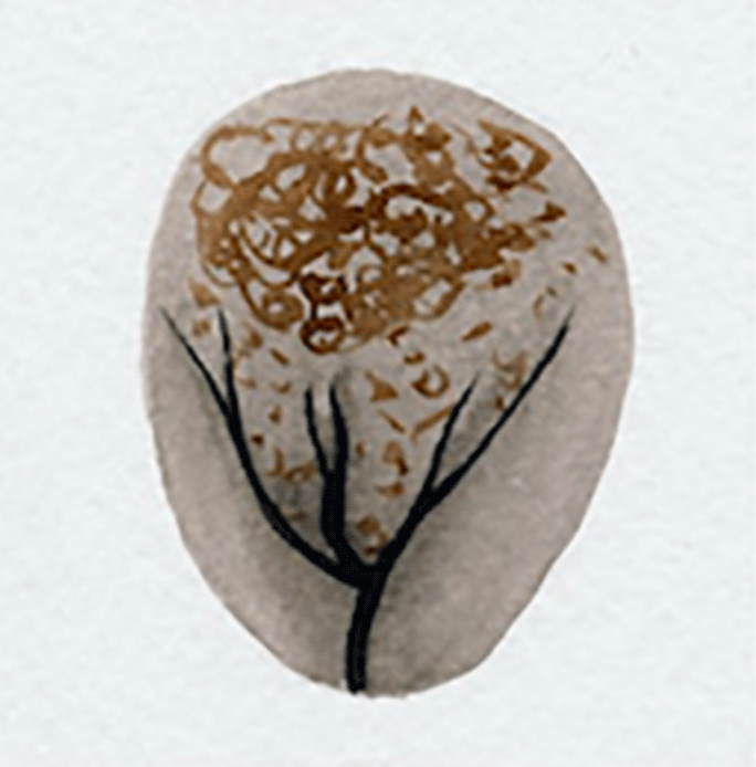 vulva 12