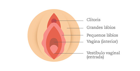 vulva portugal