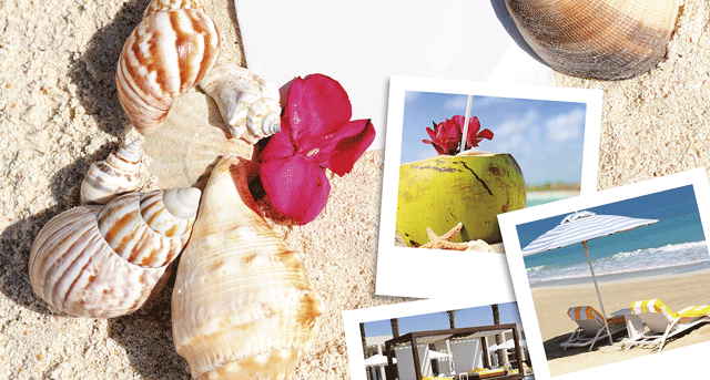 vacaciones_197316302