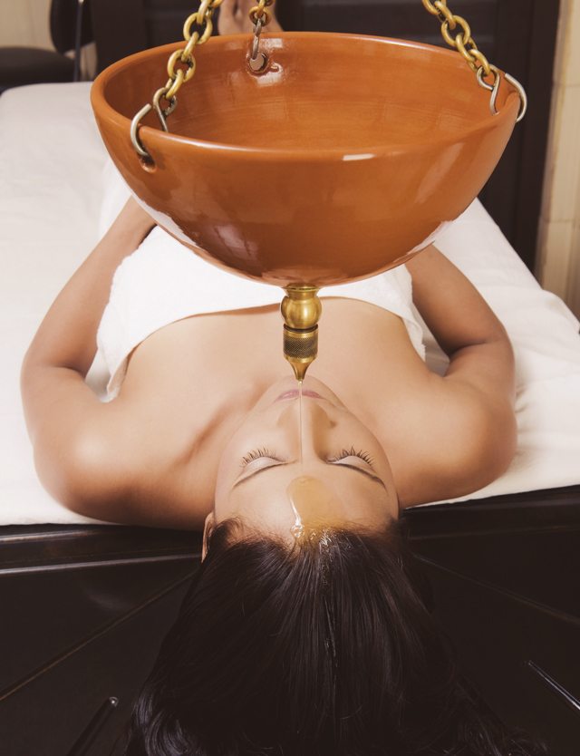 PNM-pirm-20090609-sa0220