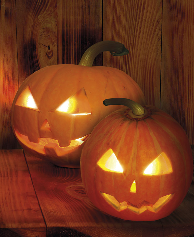 shutterstock_212887903